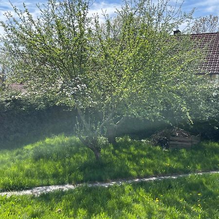 Bungalow In Ruhiger Siedlung Mit Stellplatz Landshut Exterior foto
